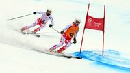 Pešková má doma už dvě paralympijské medaile. V Turíně (2006) získala stříbro v závodě super G, kde jí dělal traséra otec, a o čtyři roky později ve Vancouveru získala s Michaelou Hubačovou bronz ve stejné disciplíně. Nyní je na plný úvazek matkou. V květnu 2016 se jí totiž narodila dvojčata, i tak se ale dokázala kvalifikovat na paralympijské hry, i když návrat na sníh neplánovala.