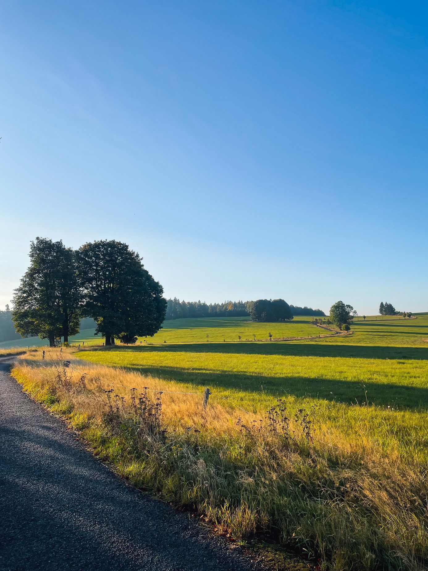 Hanka šla část Stezky Českem s malým synem v kočárku