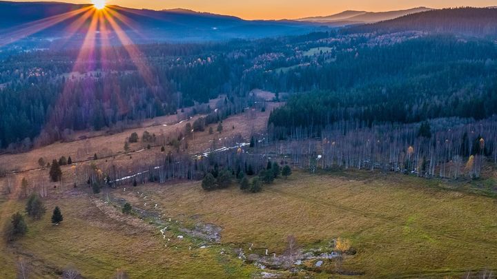 Na Šumavě se obnovují mokřady. Mírní povodně a lákají zpět ohrožené rostliny a ptáky; Zdroj foto: Vojtěch Štěpán, Radek Plíhal