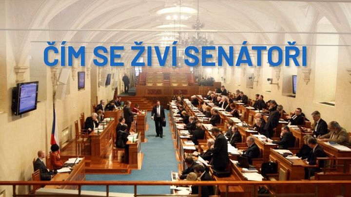 V Senátu přibývá starostů, právníků je málo. Většina senátorů má ještě druhou práci