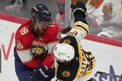 Pastrňákova paráda byla málo. O osudu Bruins rozhodne až sedmý zápas