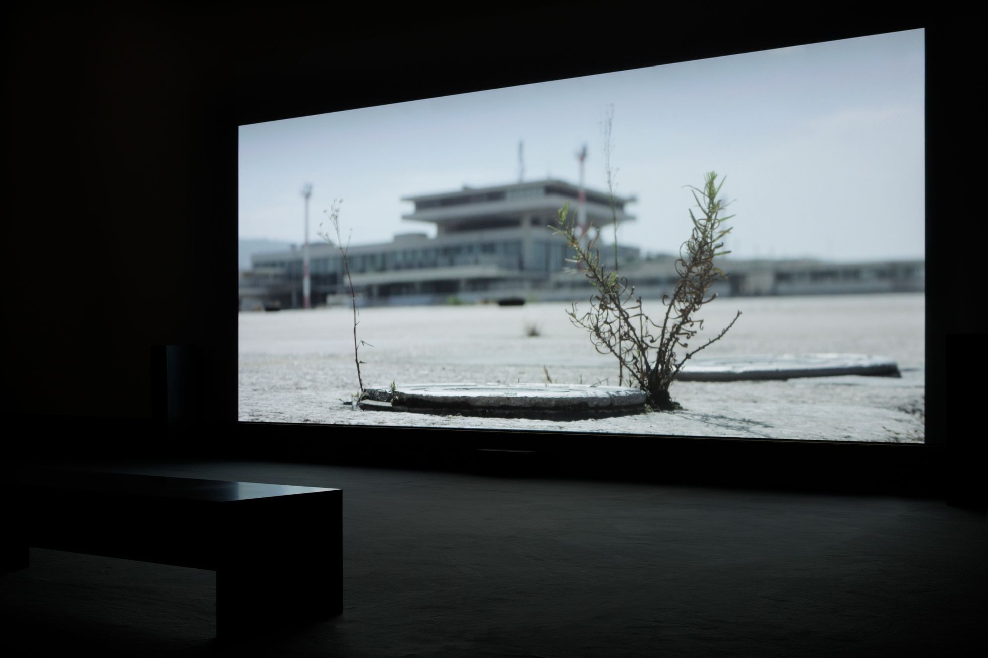 Compassion Fatigue is Over, Naeem Mohaiemen