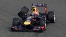 Formule 1, VC Číny: Mark Webber (Red Bull) ztrácí kolo