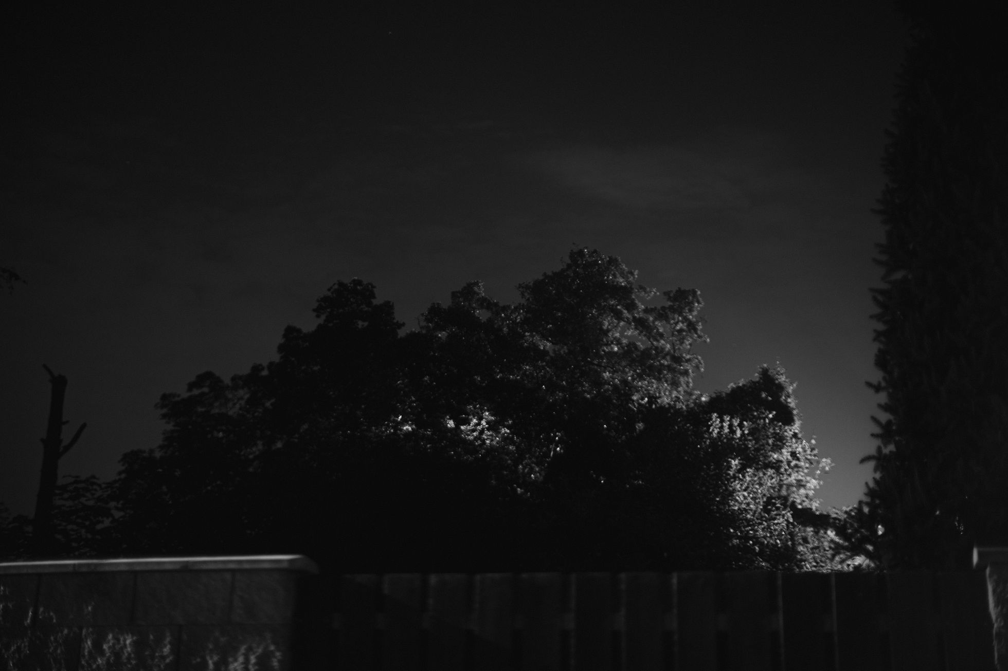 Dan Poláček, Top foto 2022, Aktuálně.cz, TOP fotografie za rok 2022, Economia, fotoeditor, fotograf