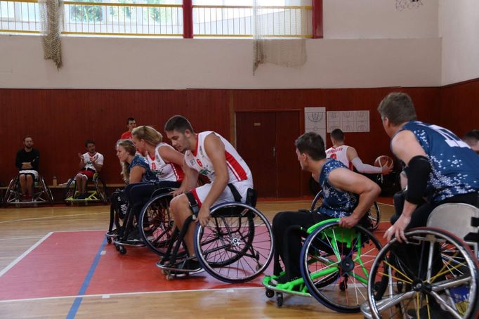 WBS Pardubice i Hobit Brno loni hráli v rakouské lize. Tento ročník budou startovat v Českém poháru.