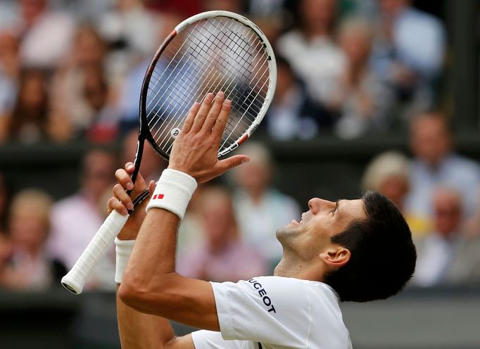 Novak Djokovič na Wimbledonu 2014