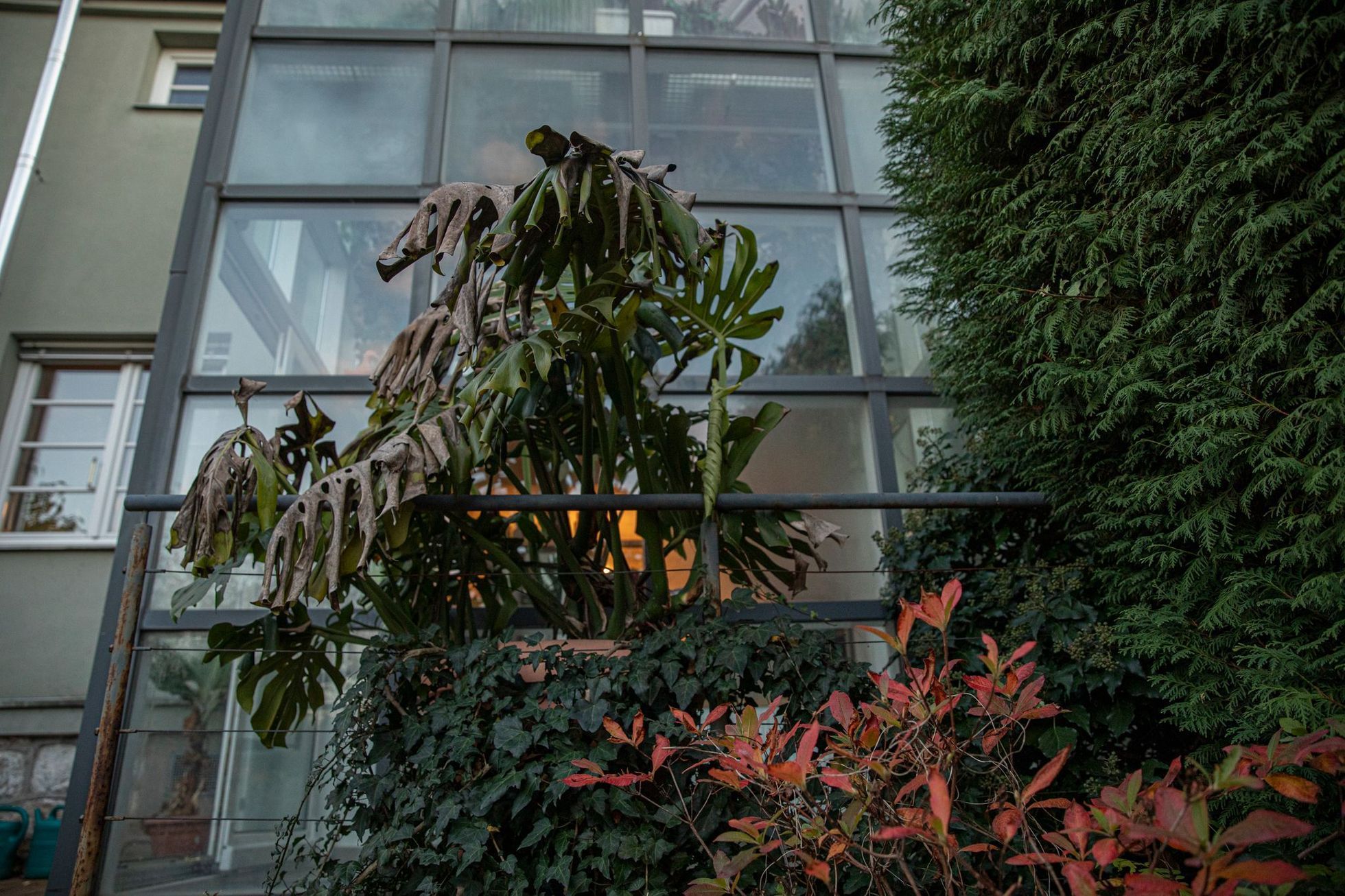 Jak bydlí Dagmar Pecková