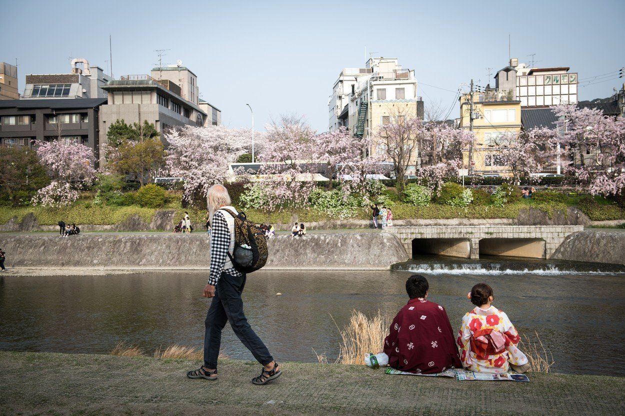 Hanami, Japonsko
