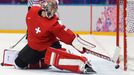 Česko - Švýcarsko: Jonas Hiller