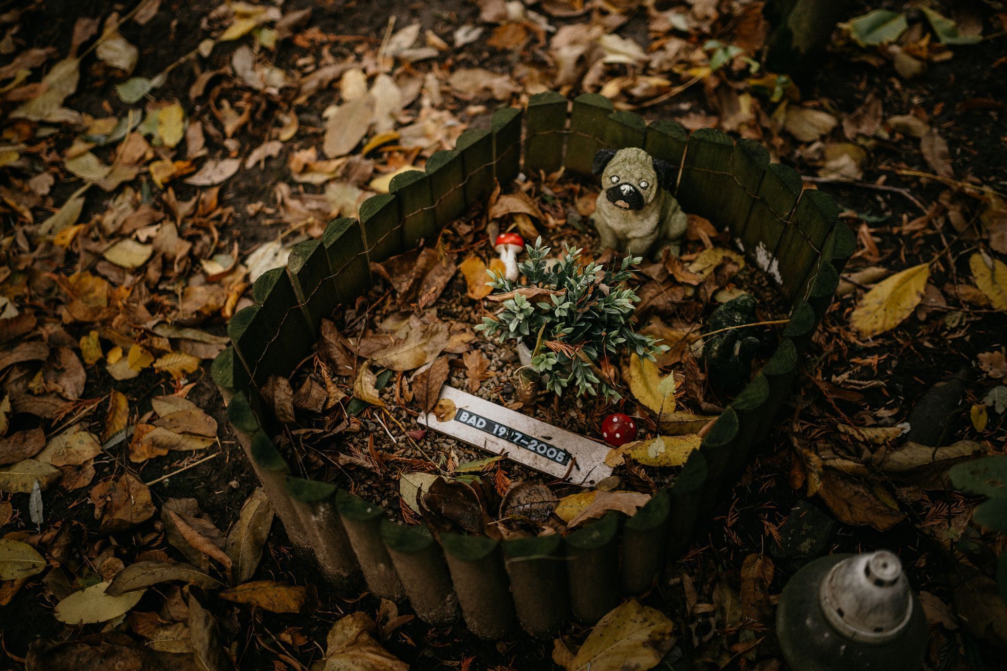 hřbitov Bohnice hřbitov bláznů