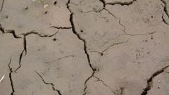 S příchodem větších dešťů se může nekvalitní zemina splavit z polí. Jako například tato na Hodonínsku.
