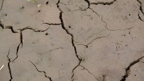 Kvůli suchu porostou ceny potravin, miliony lidí se můžou dát do pohybu, říká bioklimatolog