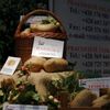 Země živitelka 2010