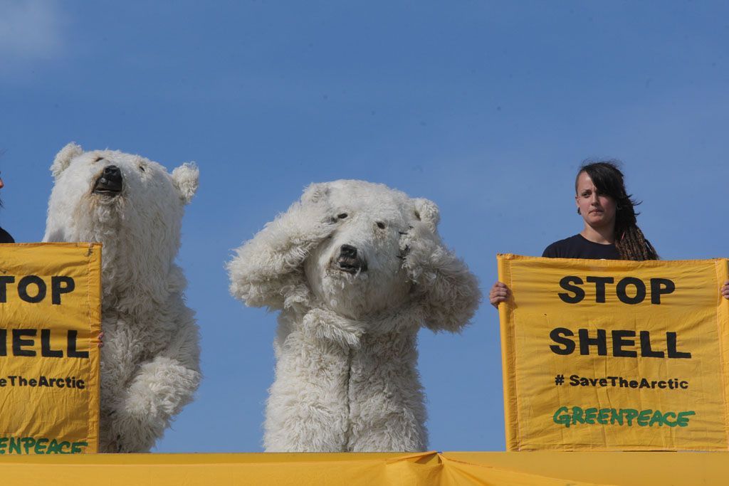 Medvědi nechtějí Shell v Arktidě