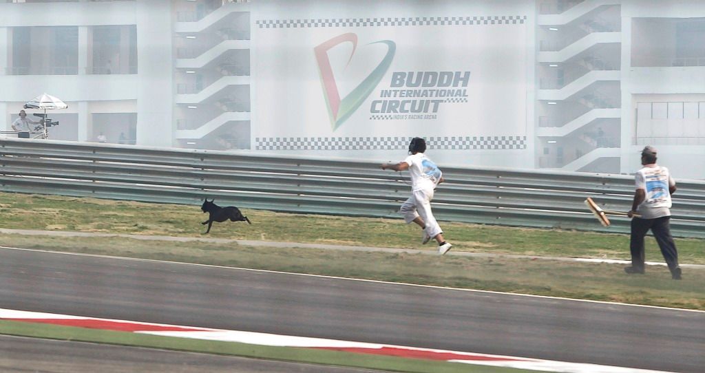 VC Indie - trénink: Zbloudilý pes