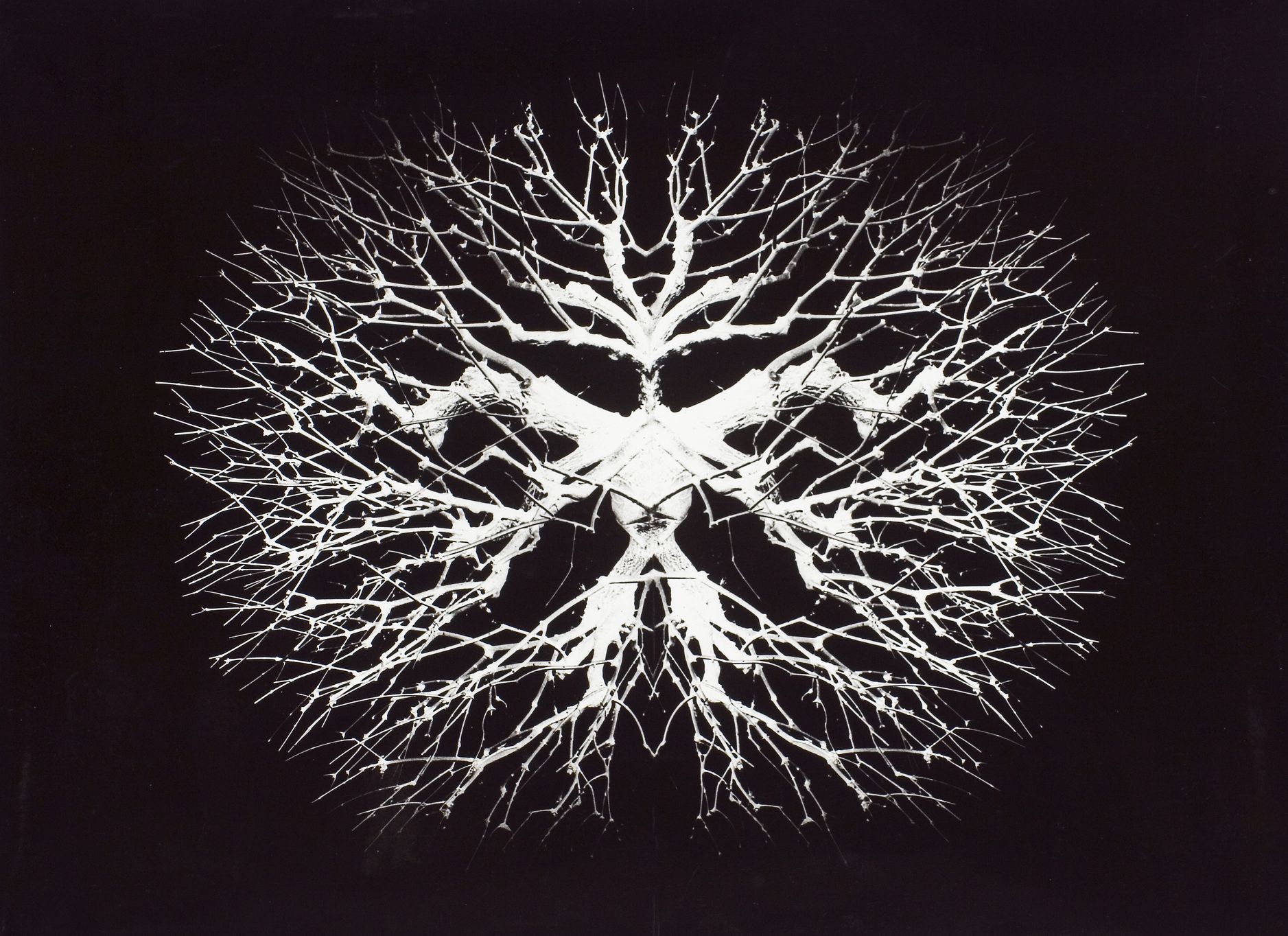 Helena Wilsonová, výstava, 2024