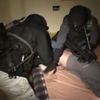 Zásah policejního komanda proti stoupencům islamistických teroristů
