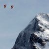 SP ve sjezdu, Wengen: Tygří letka švýcarské armády