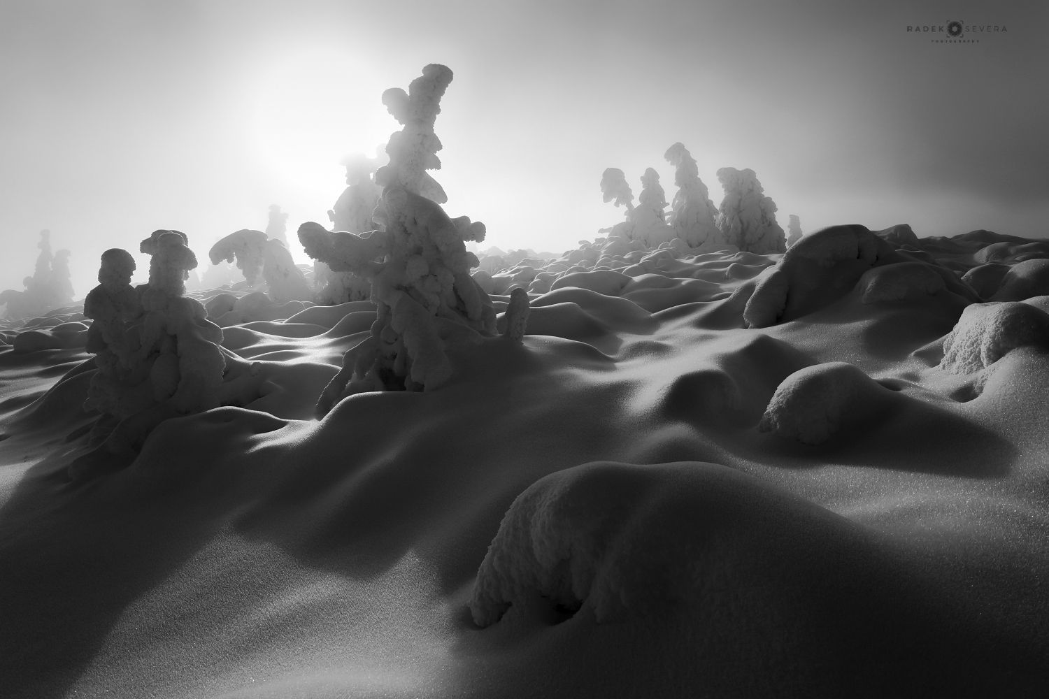 Radek Severa - zimní Jeseníky