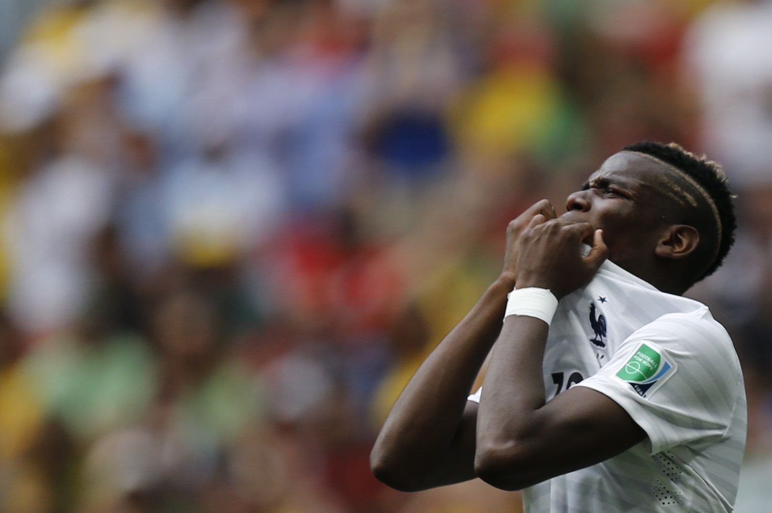 MS 2014, Francie-Nigérie: Paul Pogba
