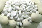 Muž převážel vlakem desetitisíce tablet na výrobu drog