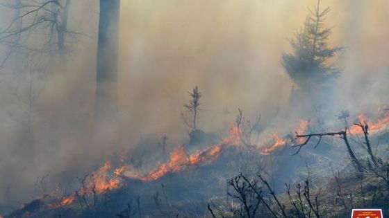 Obrazem: Každých šest minut bojovali hasiči v neděli s ohněm