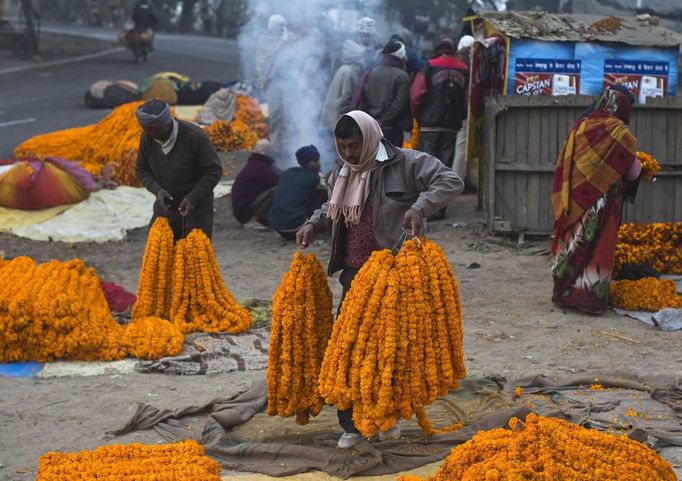 A vendor carries garlands of marigold flowers to sell along the banks of the Ganges river ahead of the "Kumbh Mela" (Pitcher Festival), in the northern Indian city of Allahabad January 11, 2013. During the festival, Hindus take part in a religious gathering on the banks of the river Ganges. "Kumbh Mela" will return to Allahabad in 12 years. REUTERS/Ahmad Masood (INDIA - Tags: RELIGION) Published: Led. 11, 2013, 10:21 dop.