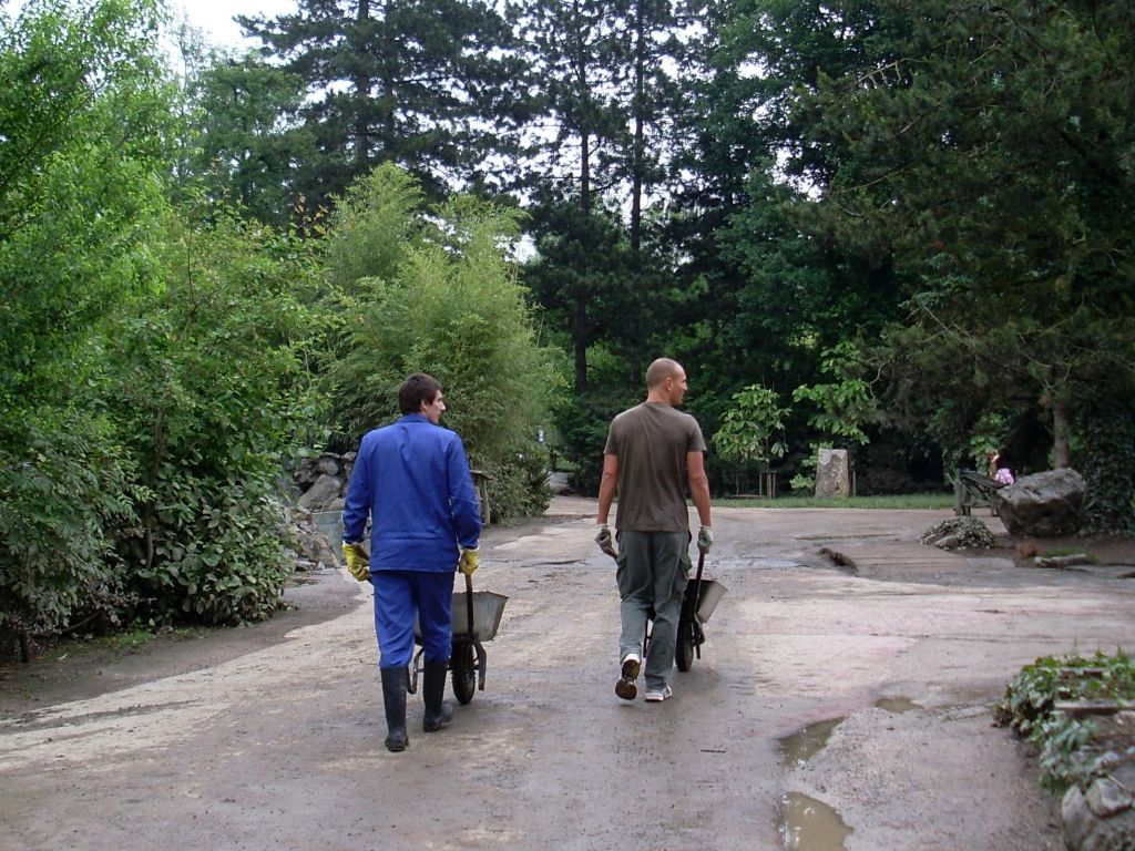 Úklid Zoo Praha