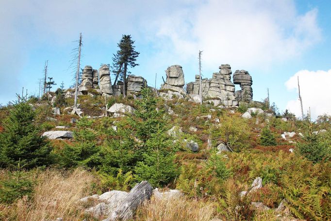 Šumava