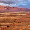 USA, Arizona, Mexiko, hranice, plot, zvířata, migrace