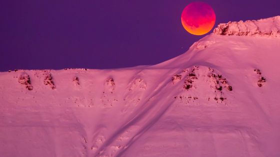 Foto: Na obloze se objevil ojedinělý úkaz. Modrý krvavý superúplněk se teď zase dlouho neukáže