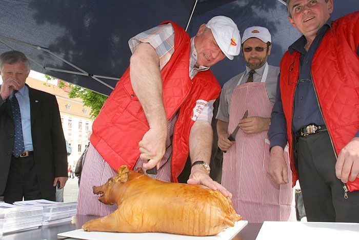 Předvolební kampaň ODS