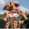 Demonstrace za odstoupení Paroubka