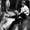 Robert F. Kennedy, rok 1968, Atentáty na americké prezidenty a prezidentské kandidáty, USA, atentát, pokus o atentát, politik, historie, Zahraničí
