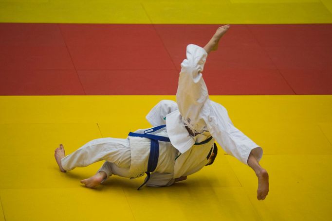 Judo, Grand Prix Ostrava 2017