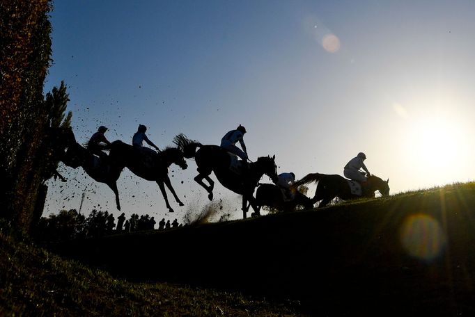 Velká pardubická 2019: Taxisův příkop