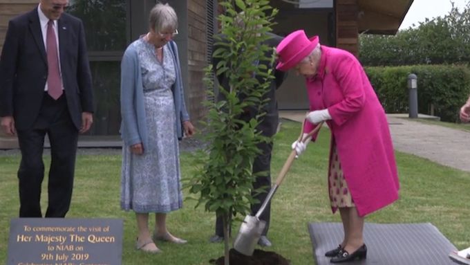 Podívejte se, jak se britská královna pustila do vysazení stromu.