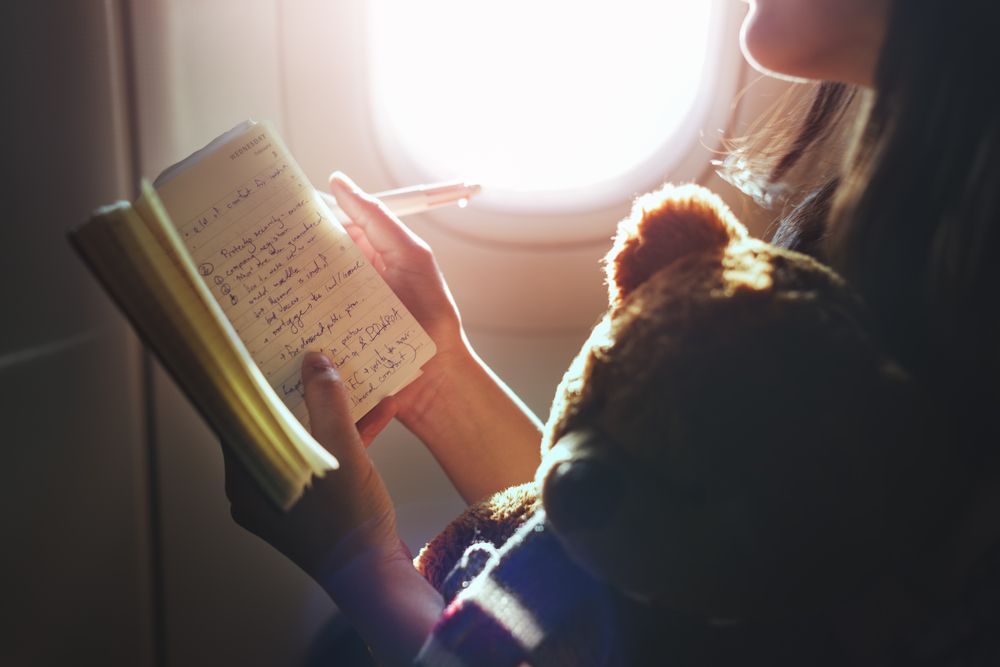Letadlo, pasažér, cestující, deník