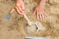 Jako lebky mimozemšťanů. Archeologové našli v Chorvatsku nezvyklý hrob tří chlapců