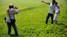 ourists pose for photos on a beach covered by dense moss and algae in Qingdao city, east Chinas Shandong province, 3 July 2013. This year the toxic algae bloom is expected to be as bad as it was in 2008 when it was the worst natural disaster in history in Qingdao, east Chinas Shandong province. The algae started showing up on 2 July 2013 and will be most visible in July and August. The toxic blue-green algae, called cyanobacteria, forces water treatment plants to spend more money to remove the toxins from drinking water and the smelly scum that can look like pea soup turns off tourists, boaters, swimmers and residents who want to enjoy the sea.(Imaginechina via AP Images)