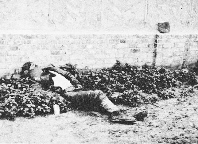 Jednorázové použití / Fotogalerie / Stalinův Holodomor na Ukrajině v 30 letech stál životy 10 miliónů lidí / Wikipedia / Memorialholodomor.org.ua
