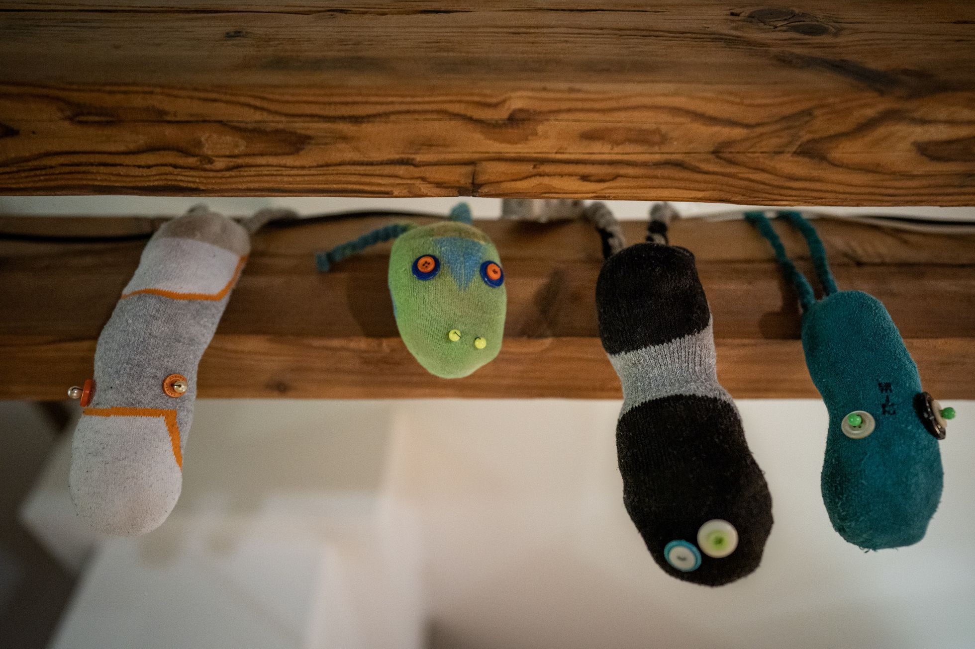 Muzeum Lichožroutů