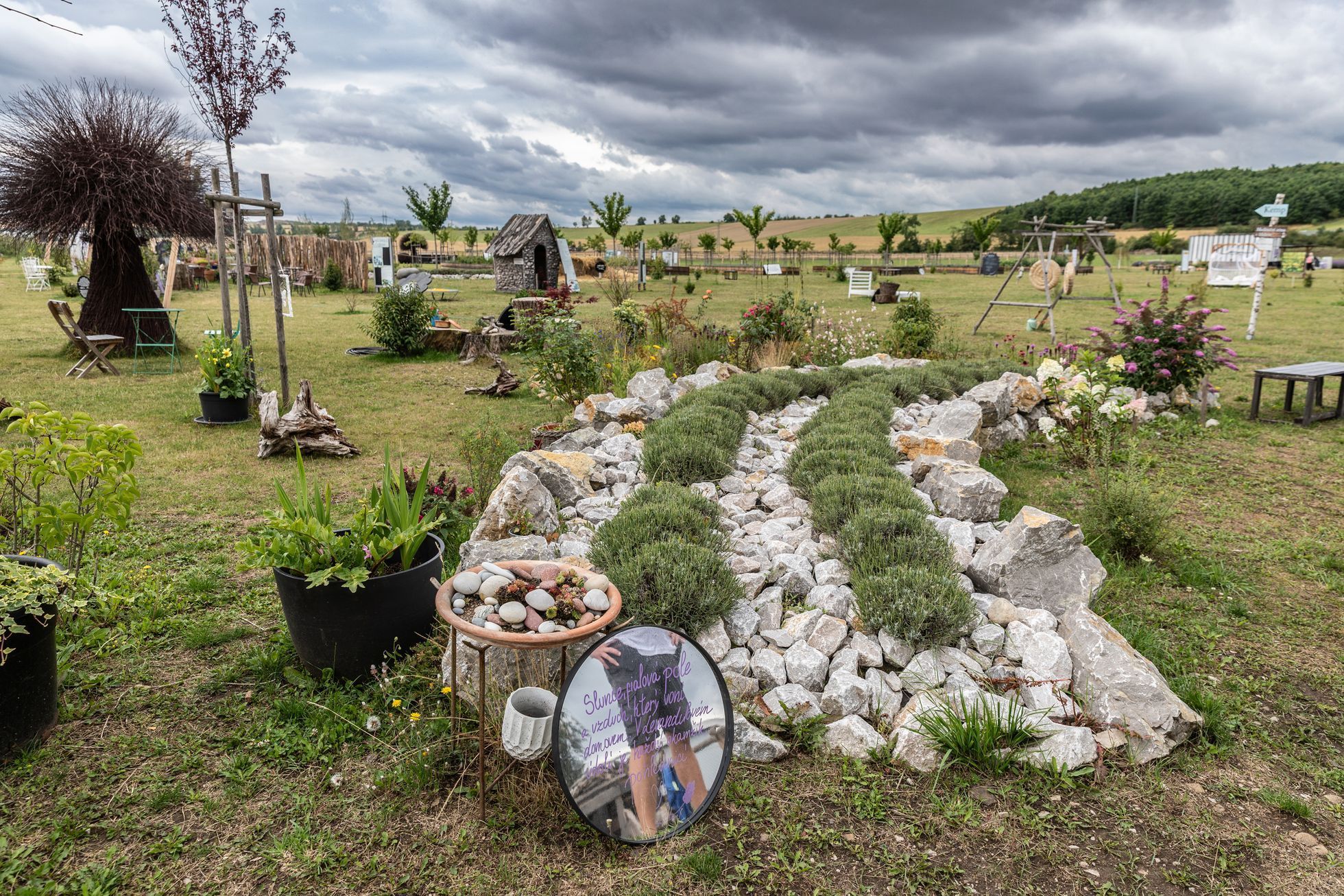 Levandulové údolí, údolí, levandule, Helena Neummanová, Chodouň