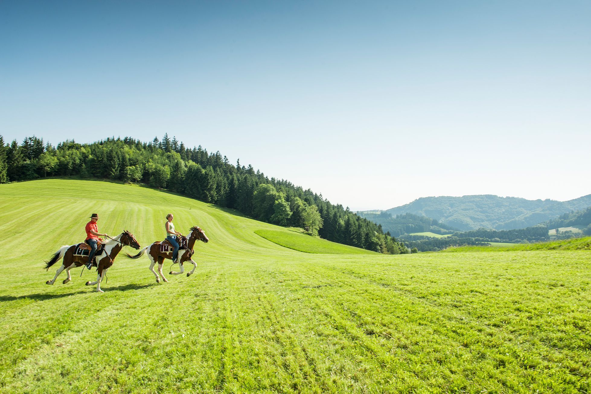 Koňské sedlo - Austrian Time