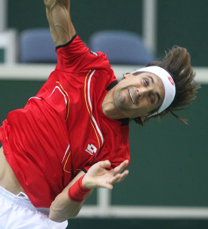 Finále Davis Cupu, zápas Radek Štěpánek - David Ferrer