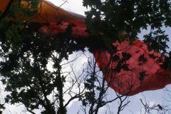 Paraglidista visel na stromě, vyprošťovali ho hasiči