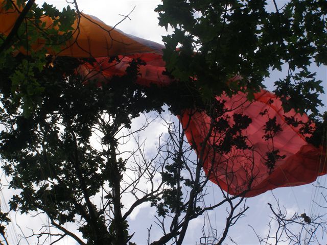 Paraglidista uvízl ve větvích