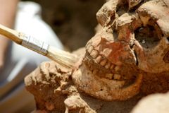 Převratný objev: Vědci našli ostatky člověka hvězdného, nejchytřejšího příbuzného homo sapiens