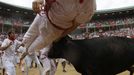 A wild cow tosses a reveller following the second day of the running of the bulls at the bullring during the San Fermin festival in Pamplona July 8, 2012. Various runners suffered light injuries in a run that lasted two minutes and twenty-eight seconds, according to the Navarran government press office. REUTERS/Joseba Etxaburu (SPAIN - Tags: ANIMALS SOCIETY) Published: Čec. 8, 2012, 8:55 dop.