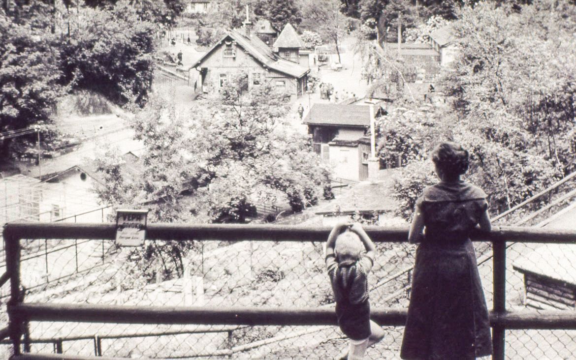 ZOO Liberec, zoo, zoologická zahrada, Liberec, historie, výročí, Domácí